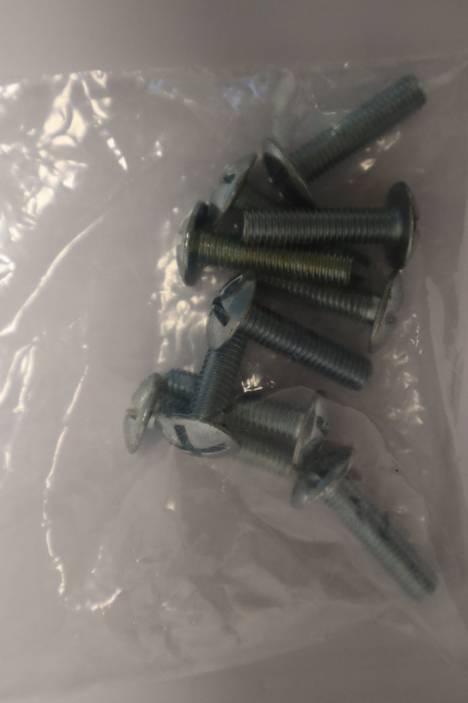 [B120026] Boulon 6 x 30mm 10 pièces